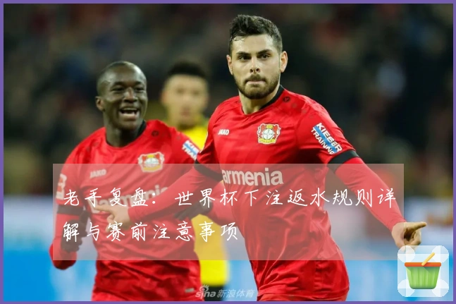 老手复盘：世界杯下注返水规则详解与赛前注意事项